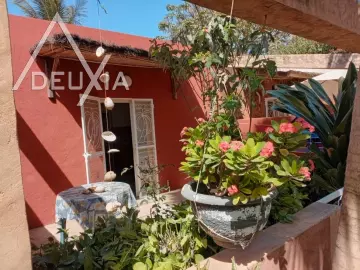 Image annonce SN501L