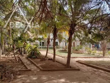 Voir photo 3 annonce SO601