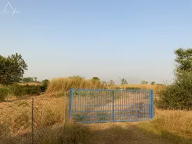 Terrain à Pointe Saréne en vente — photo 1