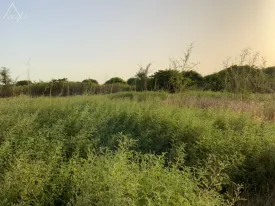 Terrain à Pointe Saréne en vente — photo 2