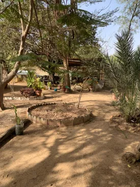 Terrain à Ndangane en vente — photo 4