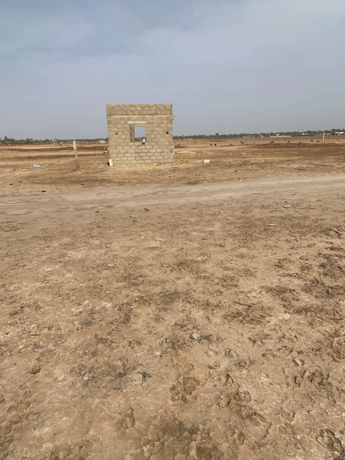 Terrain à Ndangane en vente