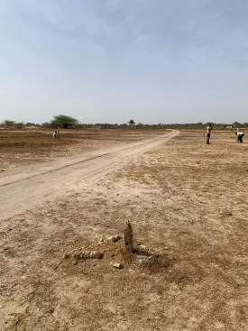 Terrain à Ndangane en vente — photo 1