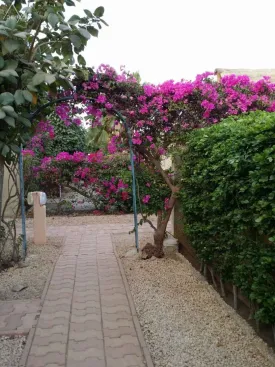 Villa à Saly à louer — photo 6