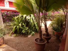 Villa à Saly à louer — photo 1