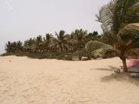 Villa à Warang en vente — photo 9
